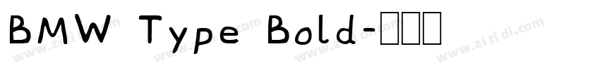 BMW Type Bold字体转换